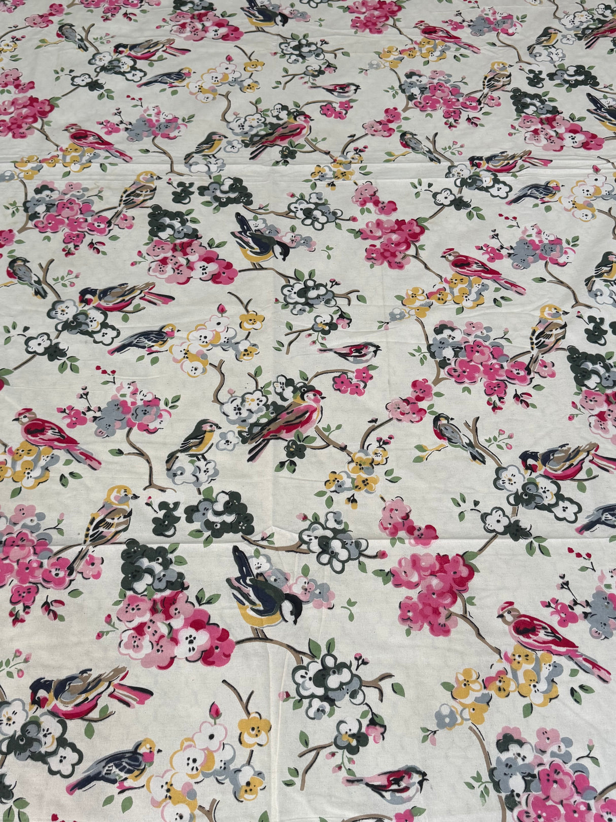 Budget Daily Use Cotton Bedsheet