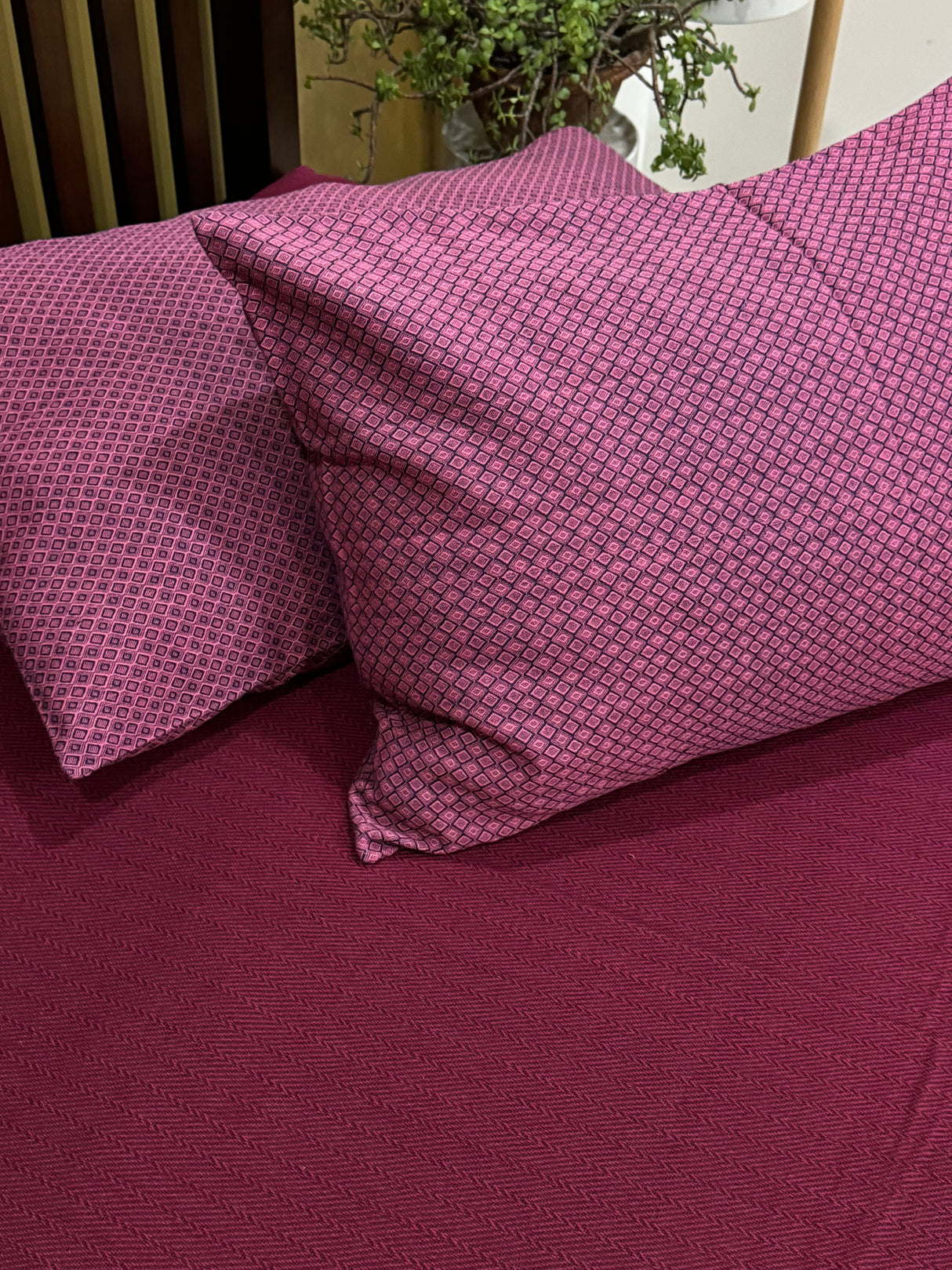 Pure Cotton Bedspread with 2 Pillow Cases