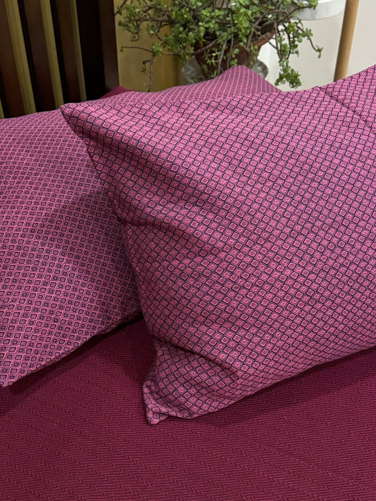 Pure Cotton Bedspread with 2 Pillow Cases