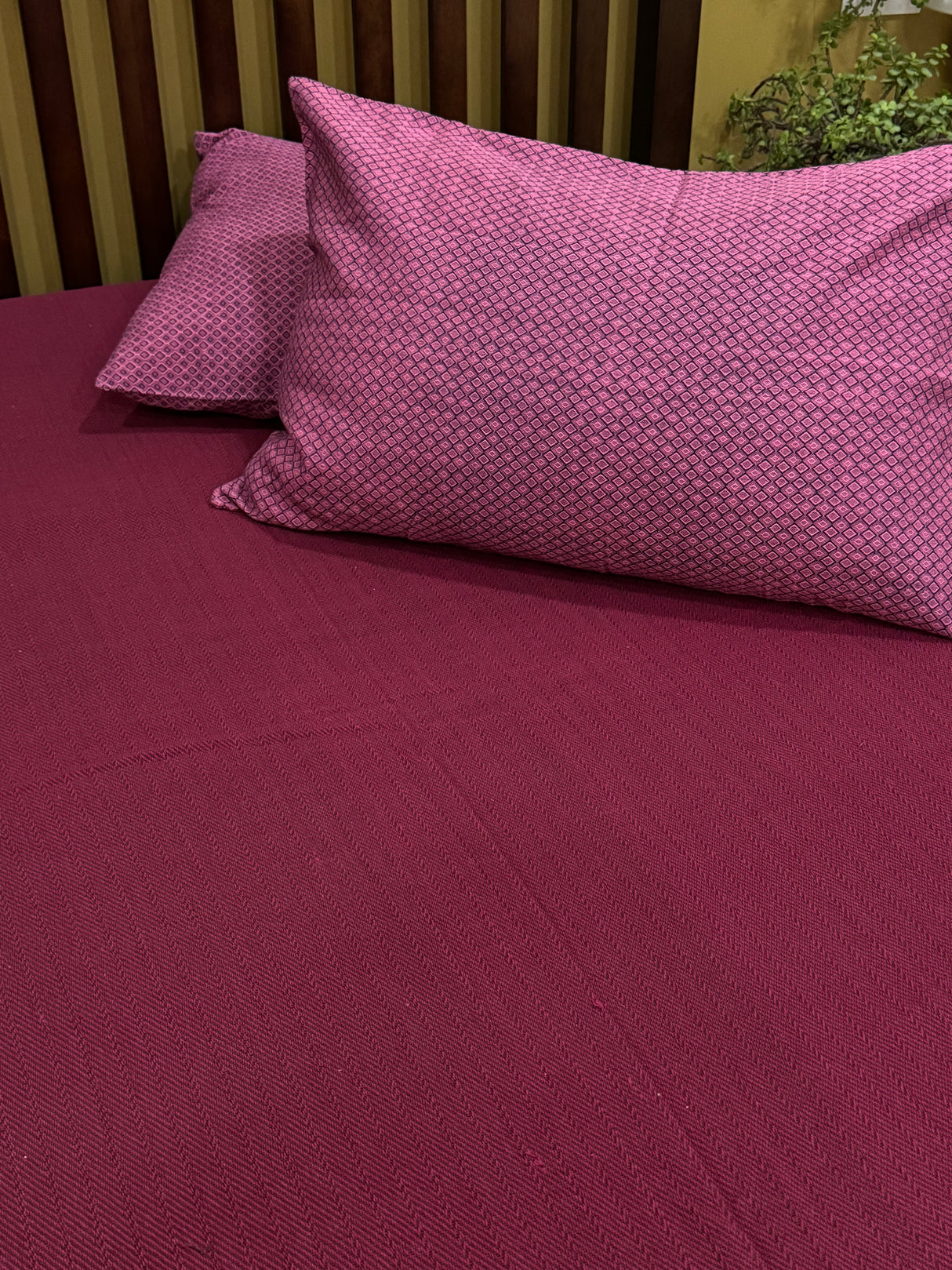 Pure Cotton Bedspread with 2 Pillow Cases