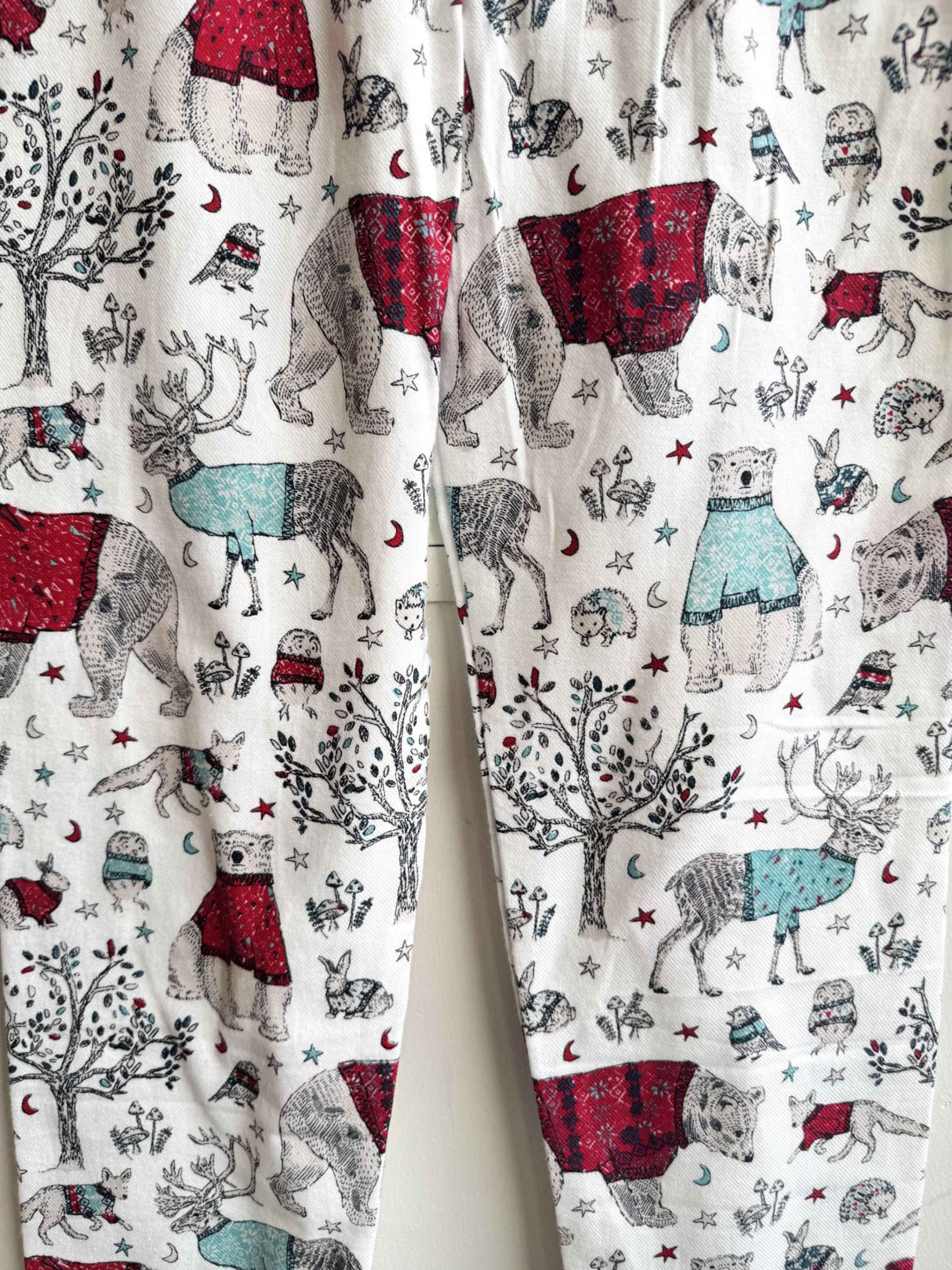 children-winter-night-suit-bear-themed