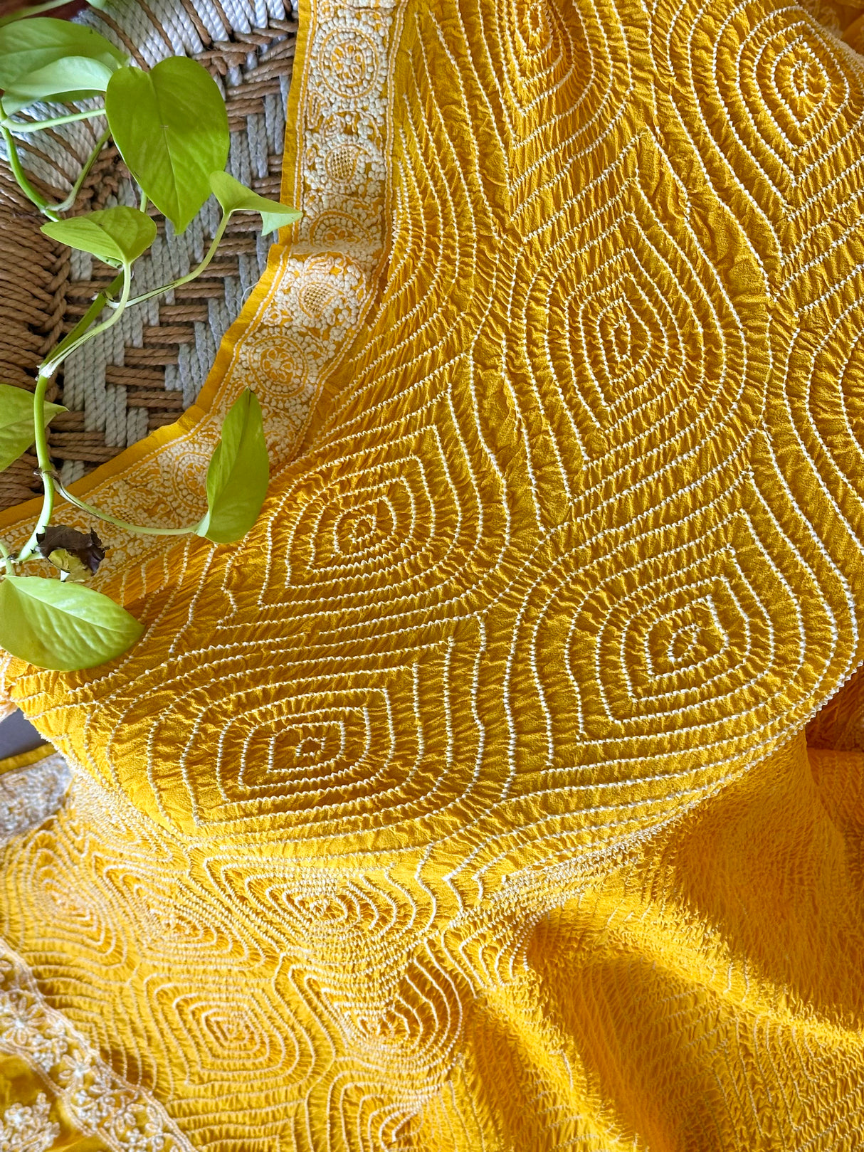 handloom-bandhani-georgette-dupatta-with-chikankari-embroidery