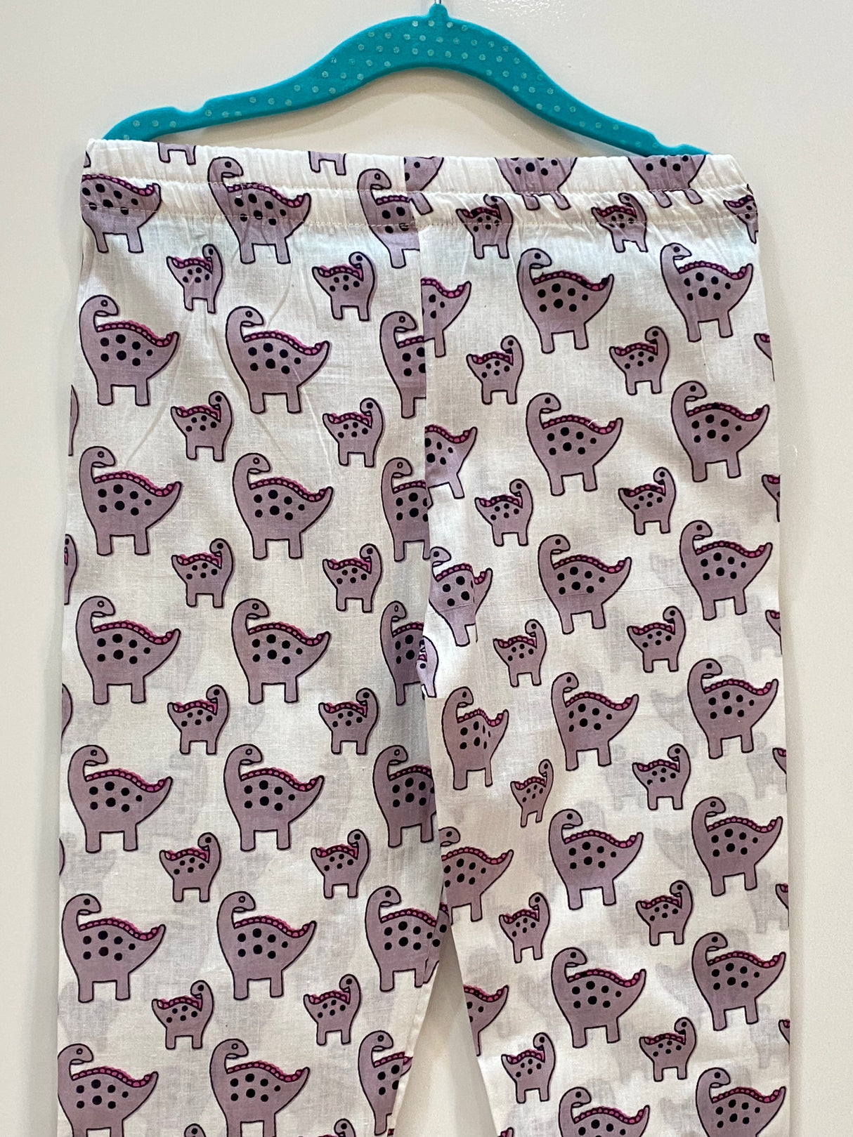 Dinosaur Kids Night Suit Set