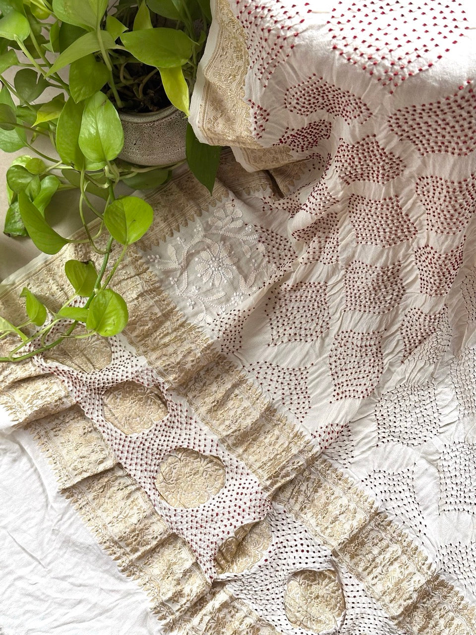 ivory-pure-banarsi-georgette-bandhani-dupatta-with-chikankari