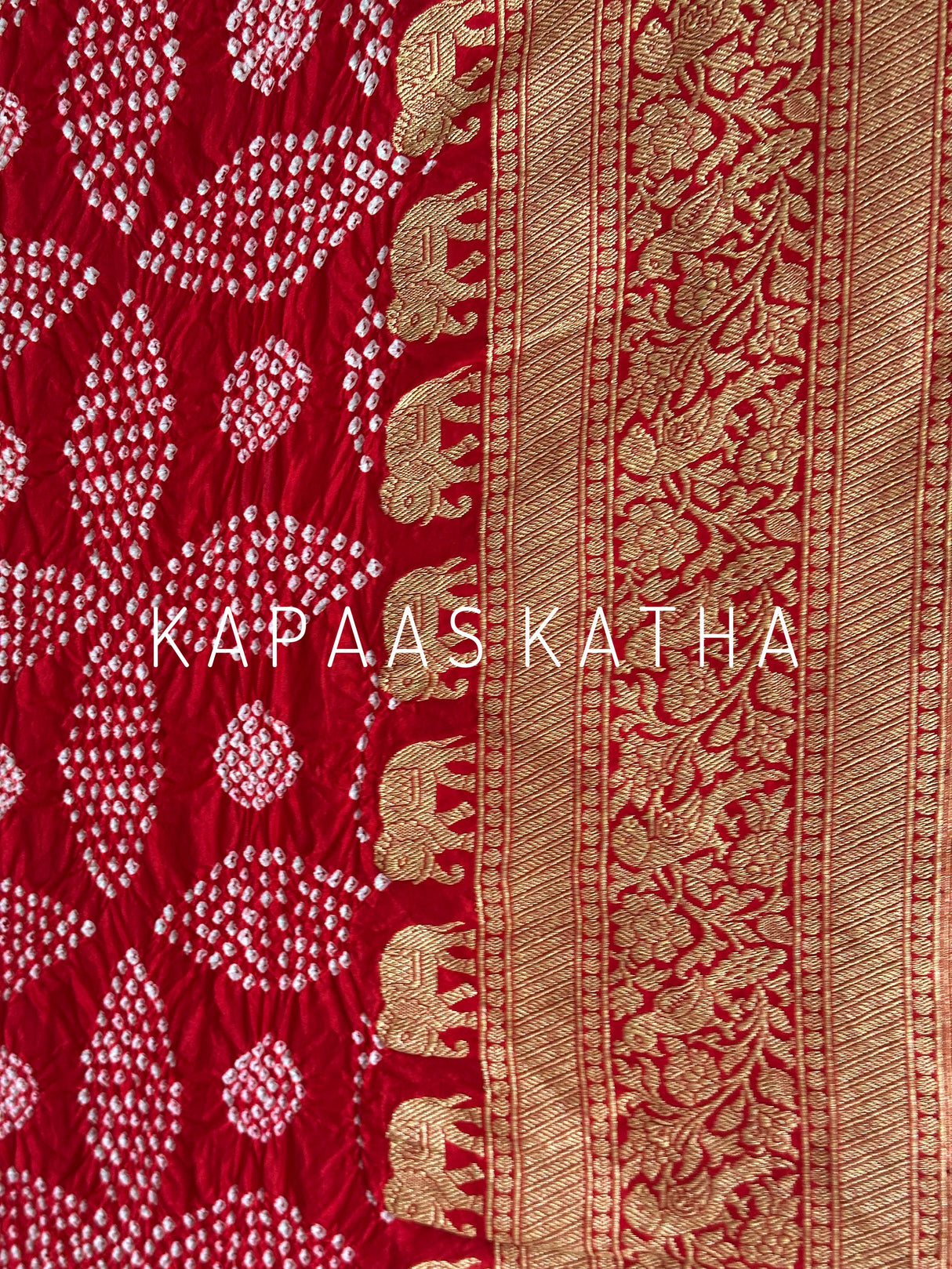 katan-silk-bandhani-saree-zari-woven-border