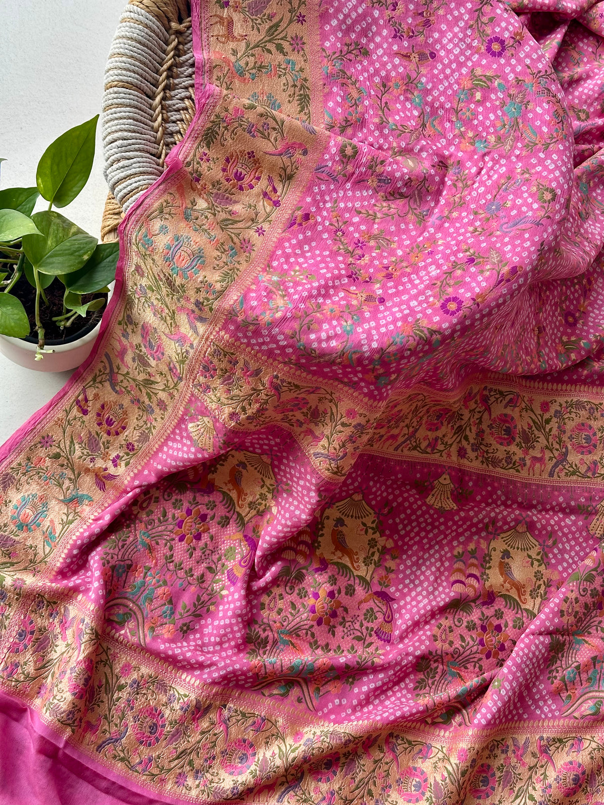 pure-banarasi-georgette-bandhani-saree