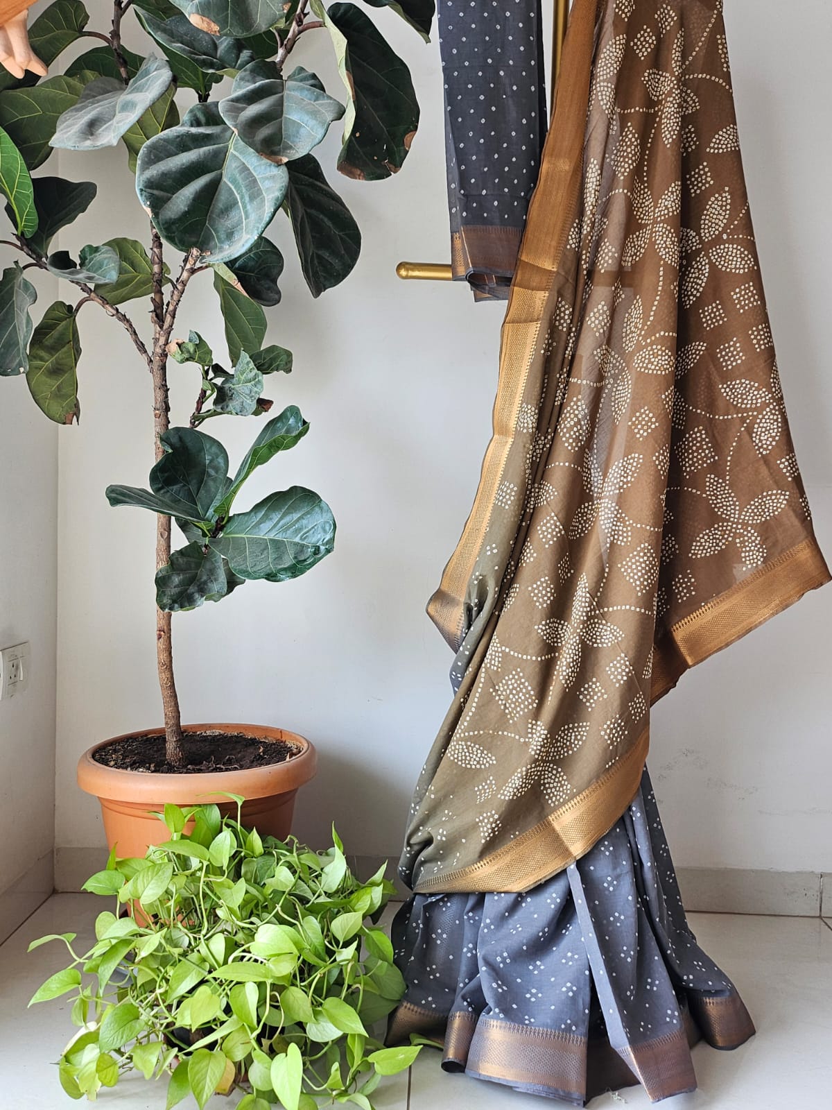 Brown to Grey Half and Half Venkatgiri Cotton Bandhani Saree