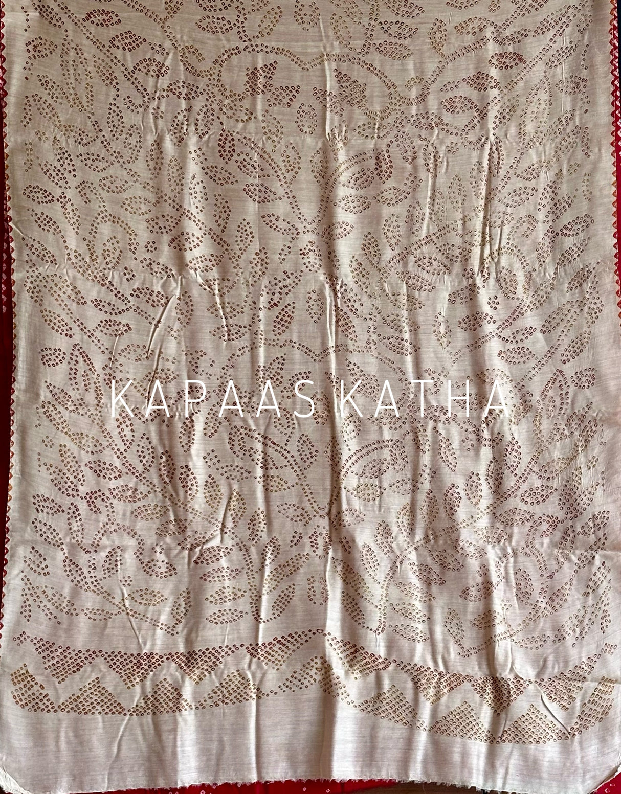artisan-vasant-eminence-bandhani-pure-munga-silk-saree