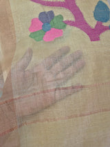 Cream Base with Pink Stems Handloom Tissue Silk Saree with Jamdani weaving