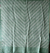 Habotai Silk Clamp Dye Bandhani Saree in Green and Pink combo