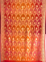 handloom-banarasi-georgette-bandhani-saree