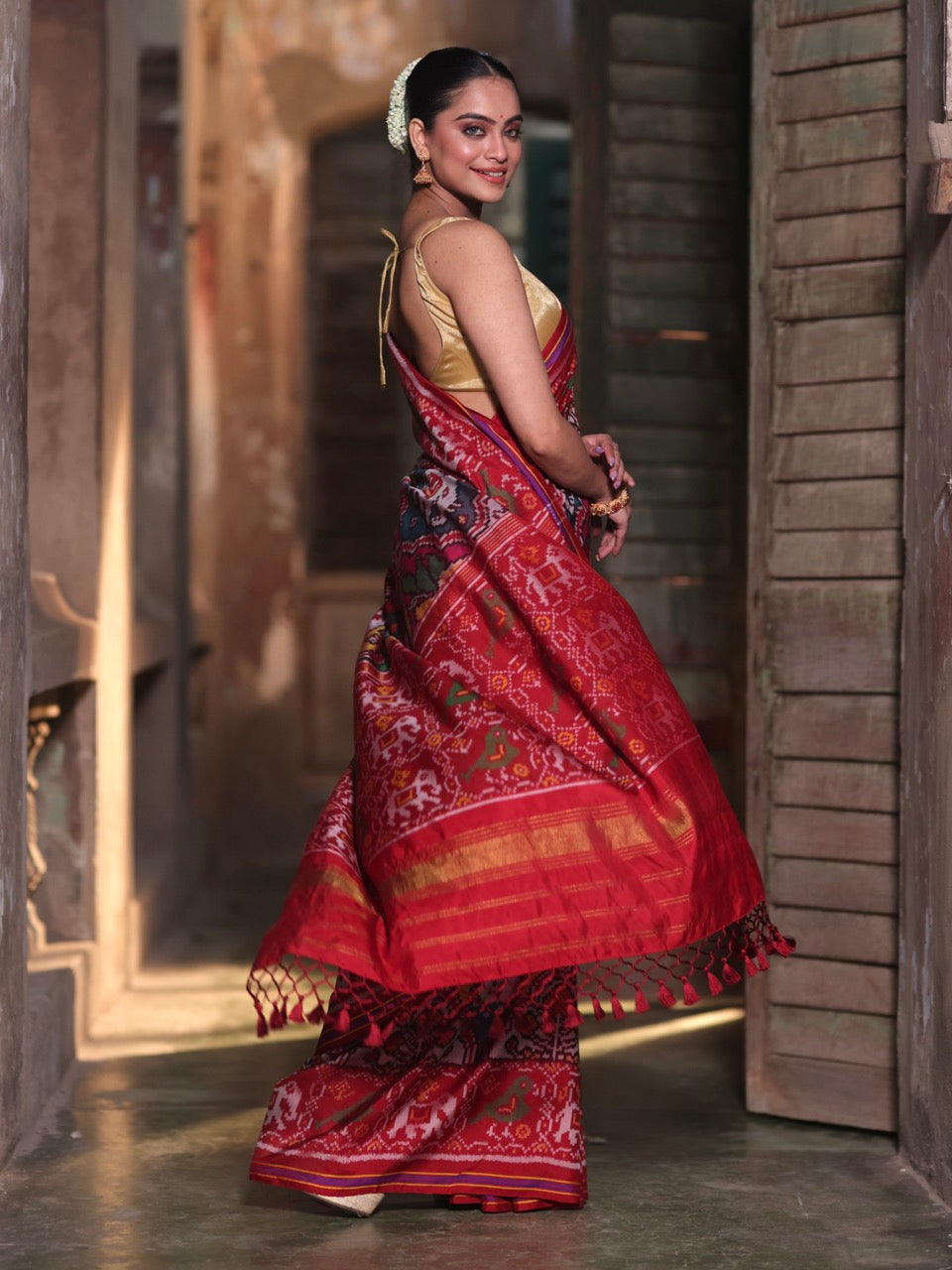 handloom-single-ikat-patola-elephant-flower-parrot-duck-saree