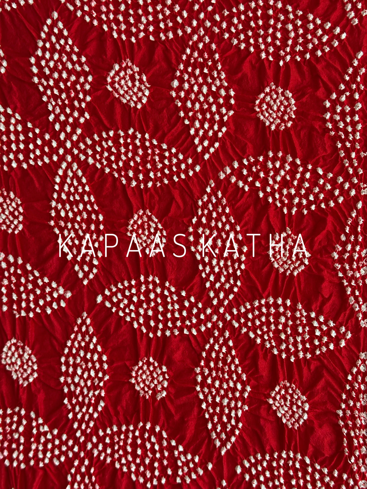 handwoven-border-katan-silk-bandhani-saree