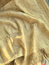 karigari-guldasta-pure-banarasi-georgette-kalamkari-saree-with-lucknow-hand-chikankari