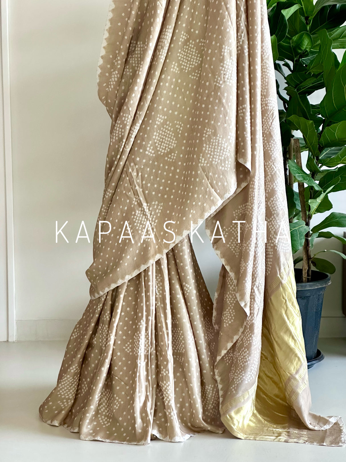 noir-grandeur-bandhani-pure-gajji-silk-saree