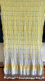 premium-banarasi-georgette-dupatta