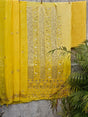 under-the-shade-of-stars-chikankari-georgette-gota-unstitched-suit-set